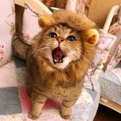 سارہ خان avatar